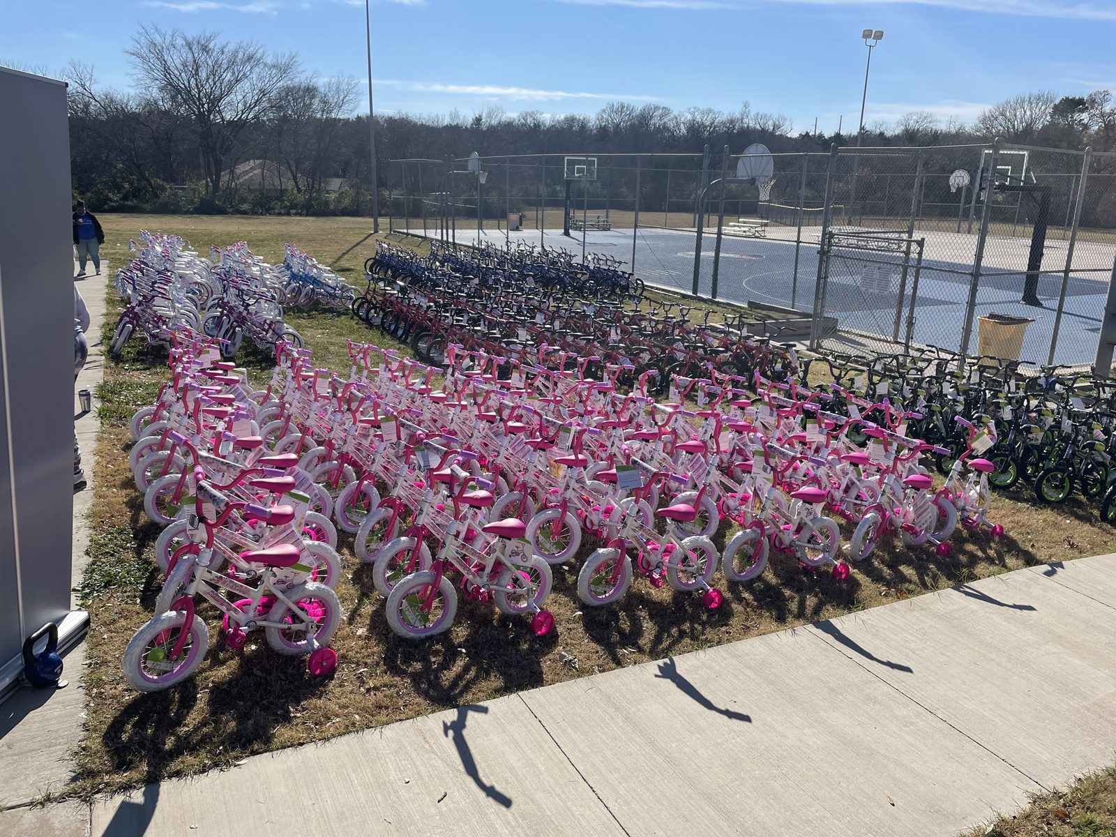 Rows of brand-new bikes on the court