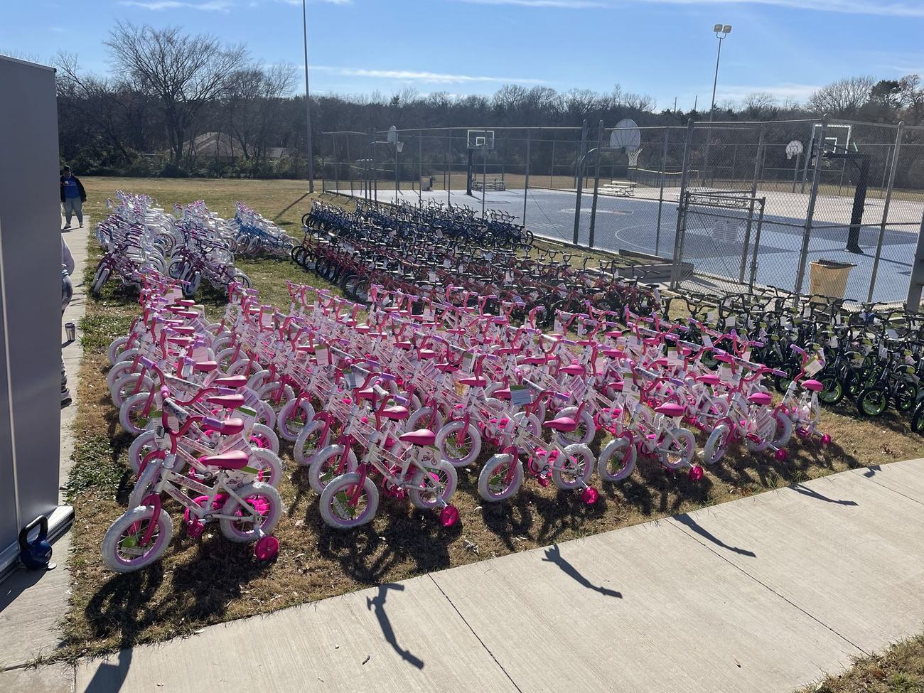 Rows and rows of bikes ready at the Holly Jolly giveaway